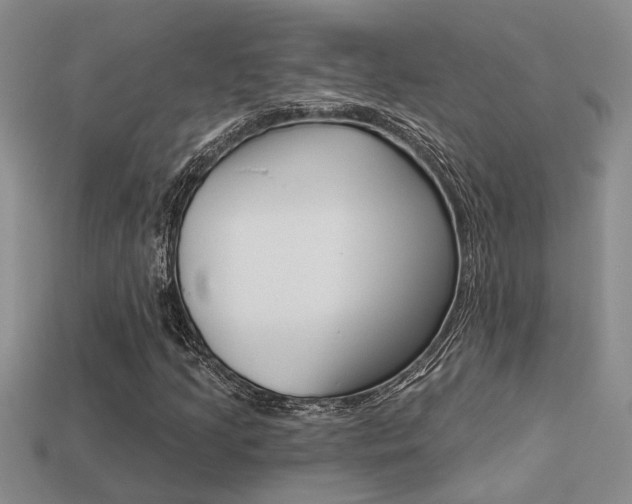 X0000113271205200909101303