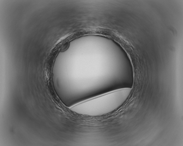 X0000113271206200909101304