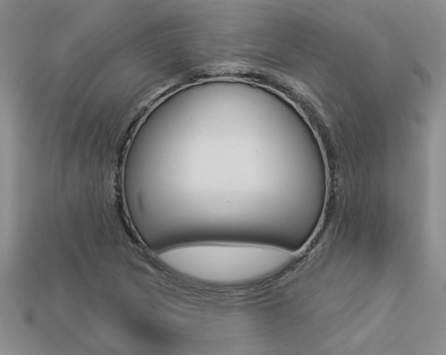X0000113271217200909101304