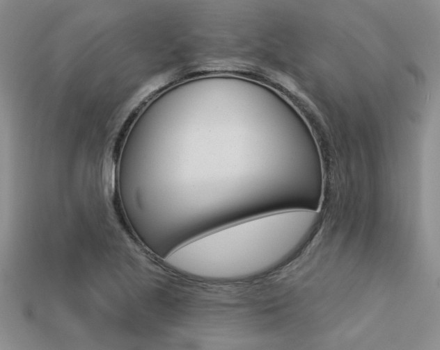 X0000113271221200909101304