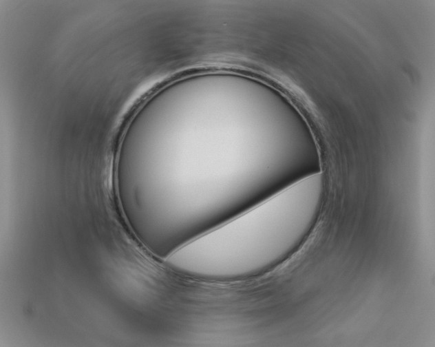 X0000113271224200909101304