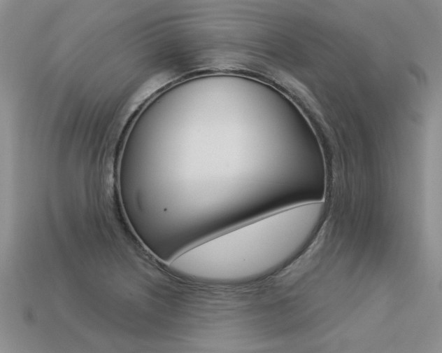 X0000113271226200909101304