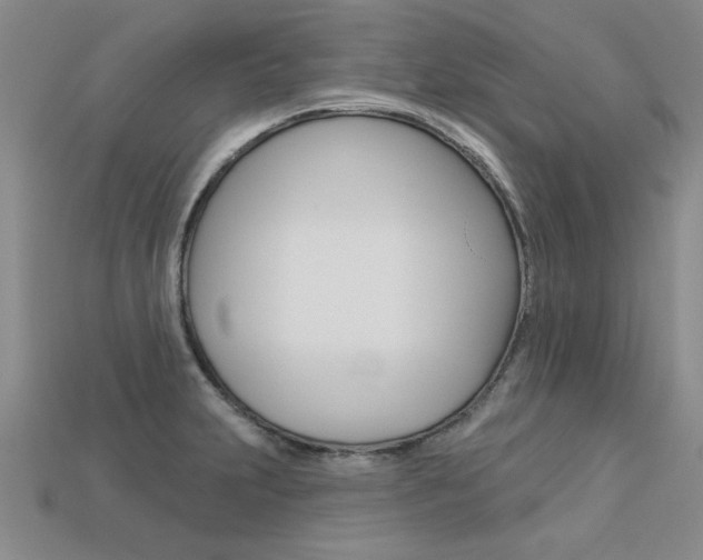 X0000113271231200909101304