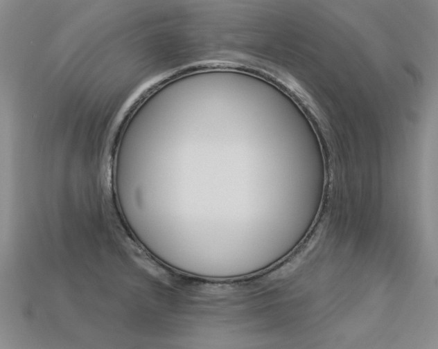 X0000113271232200909101304