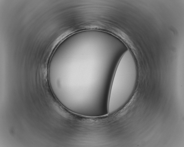 X0000113271234200909101304
