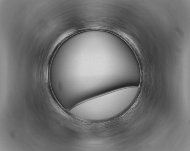 X0000113271238200909101304