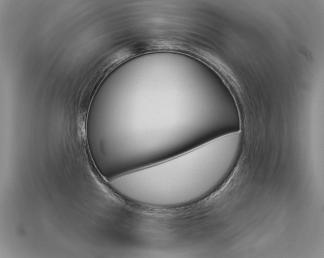 X0000113271241200909101304