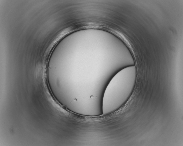 X0000113271243200909101304