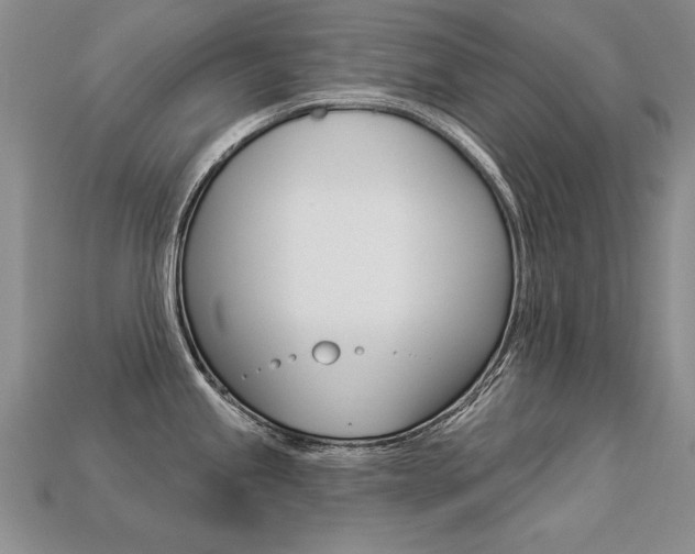 X0000113271245200909101304