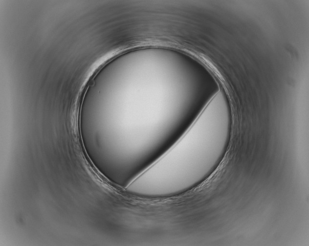 X0000113271246200909101304