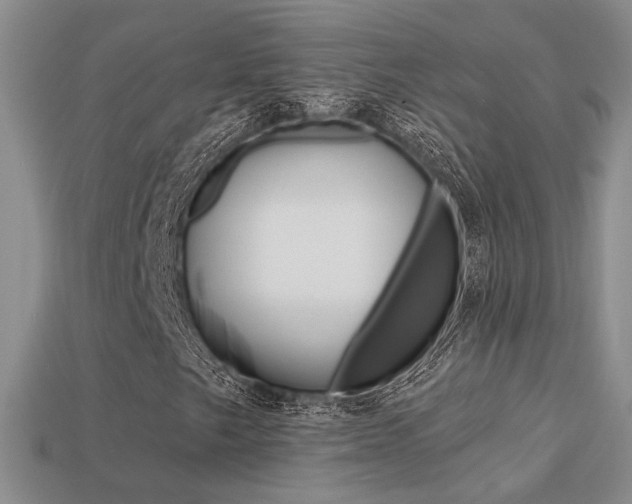 X0000113271249200909101303