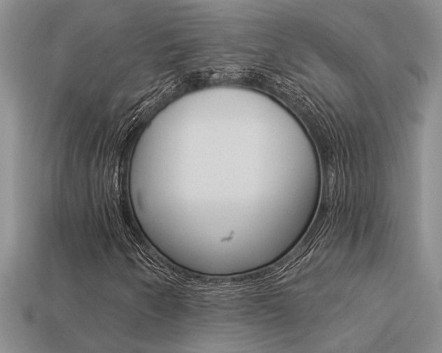 X0000113271250200909101303