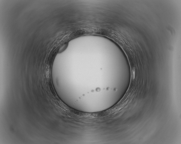 X0000113271251200909101303