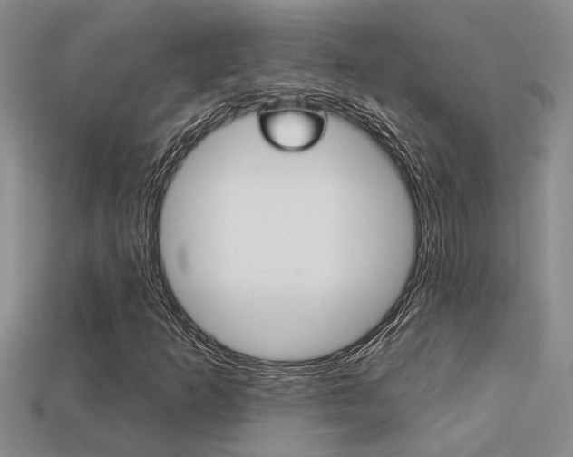 X0000113271253200909101303