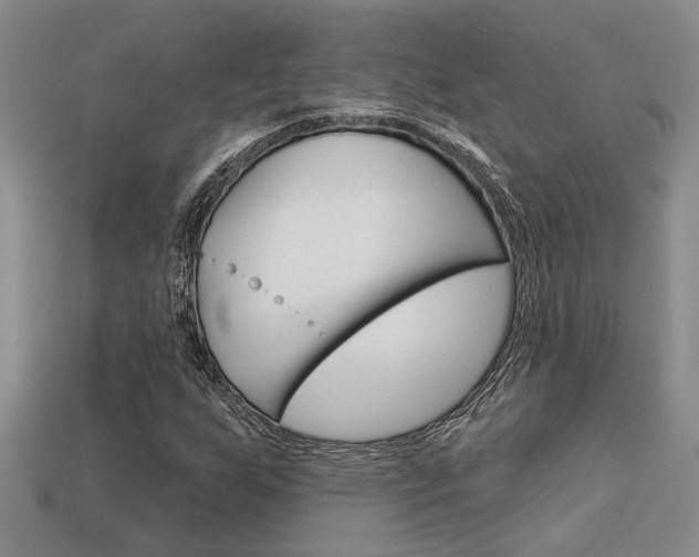 X0000113271255200909101303