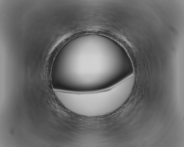 X0000113271256200909101303