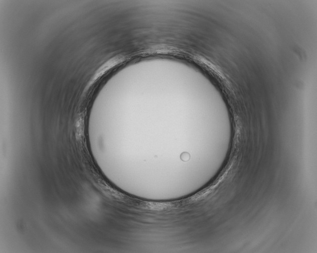 X0000113271258200909101303