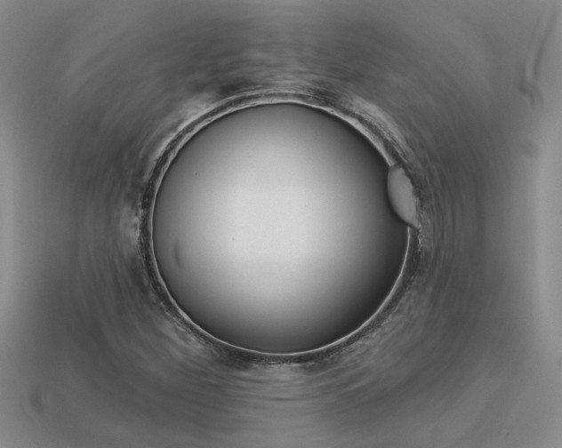 X0000113271260200909101303