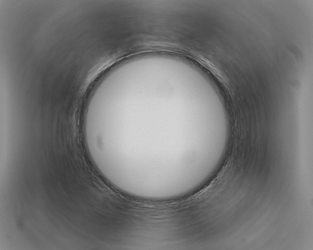 X0000113271261200909101303