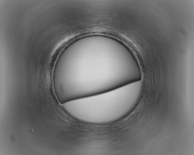X0000113271262200909101303