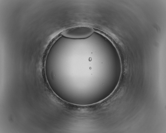 X0000113271264200909101303