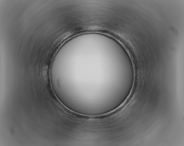 X0000113271265200909101303