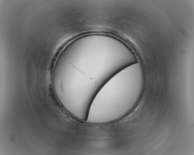 X0000113271267200909101303