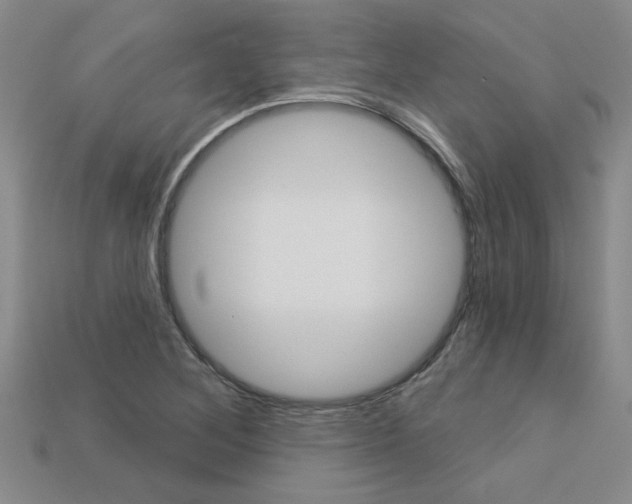 X0000113271268200909101303