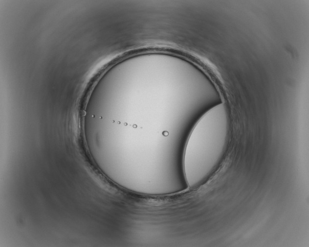 X0000113271271200909101303