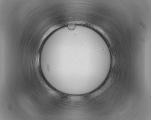X0000113271274200909101303