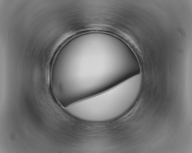 X0000113271275200909101303