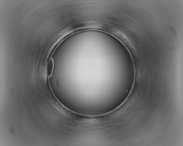 X0000113271276200909101303