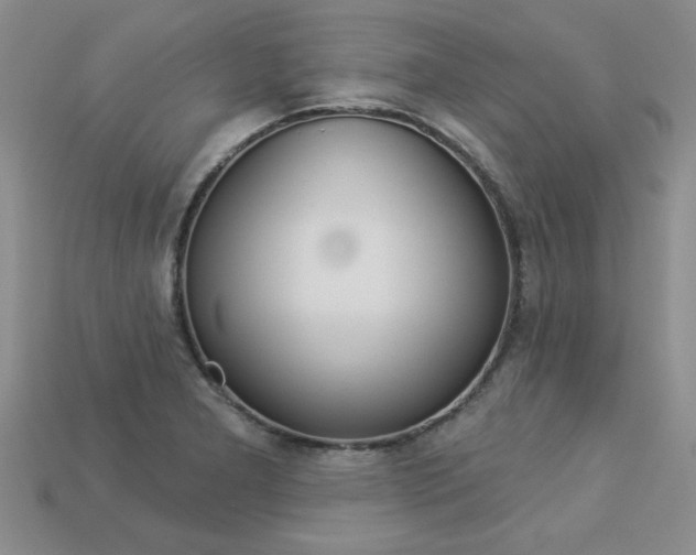 X0000113271277200909101303