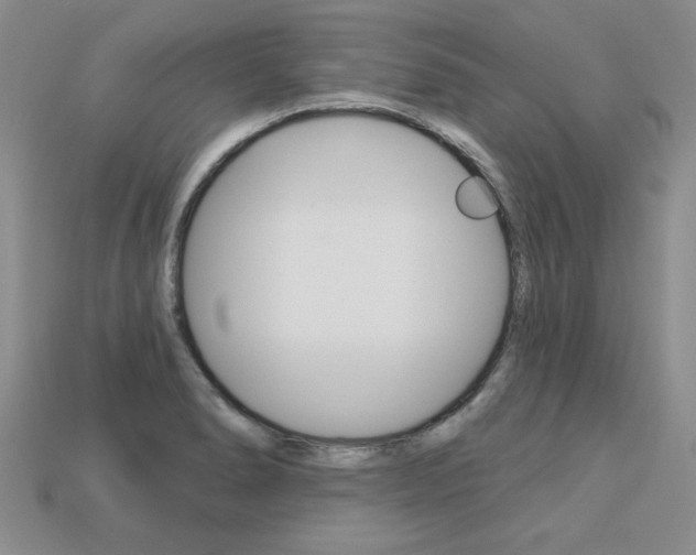 X0000113271278200909101303