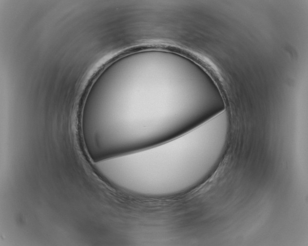 X0000113271279200909101303