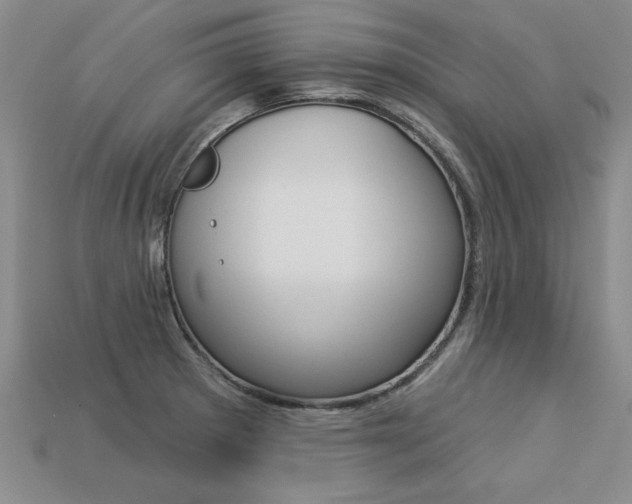 X0000113271281200909101303