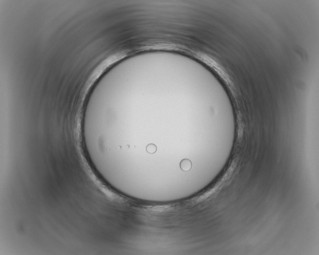 X0000113271282200909101303