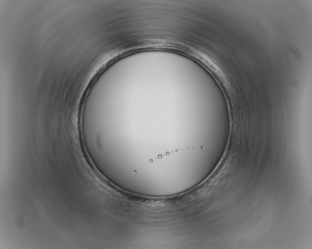 X0000113271283200909101303