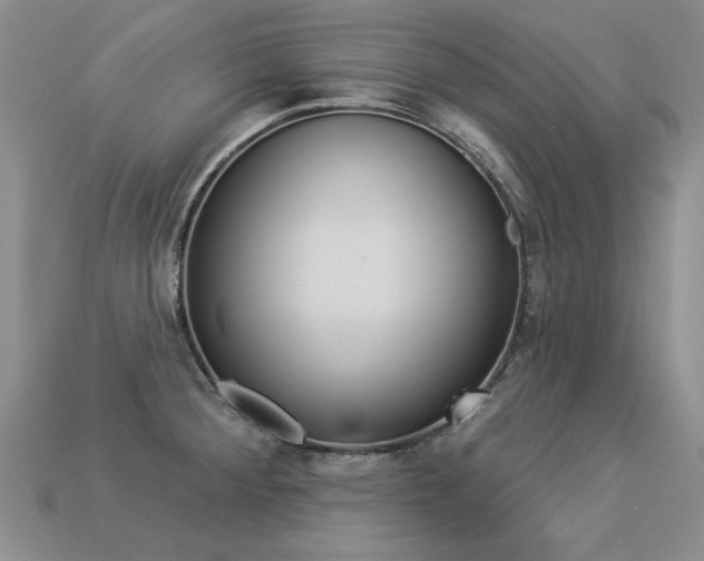 X0000113271284200909101303