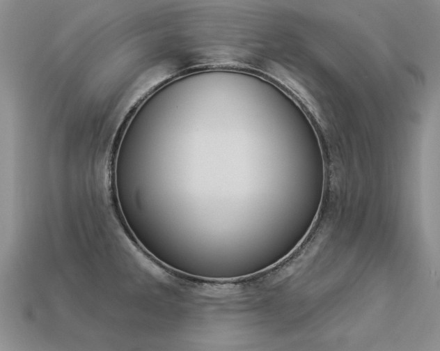 X0000113271285200909101303