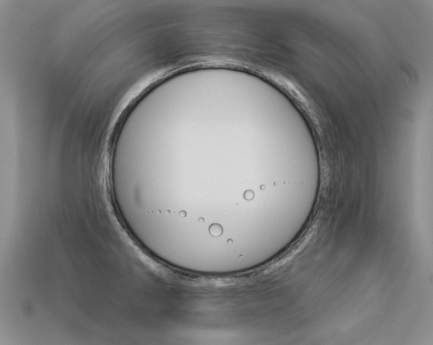 X0000113271286200909101303