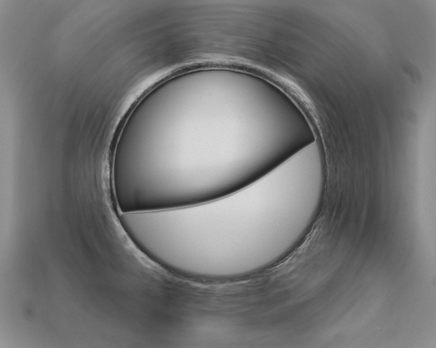 X0000113271287200909101303