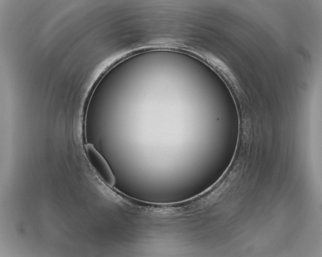 X0000113271288200909101303