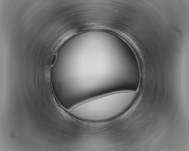 X0000113271289200909101303