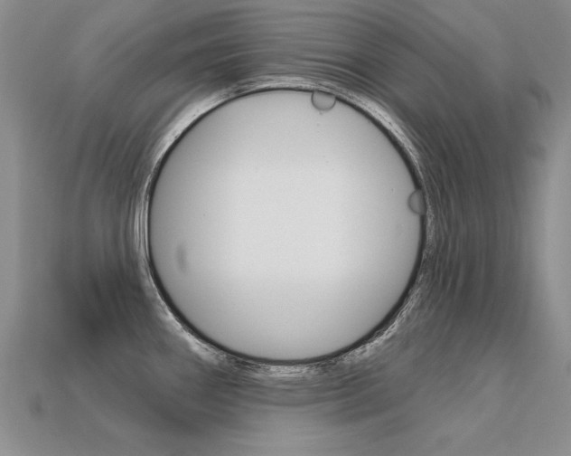 X0000113271290200909101303