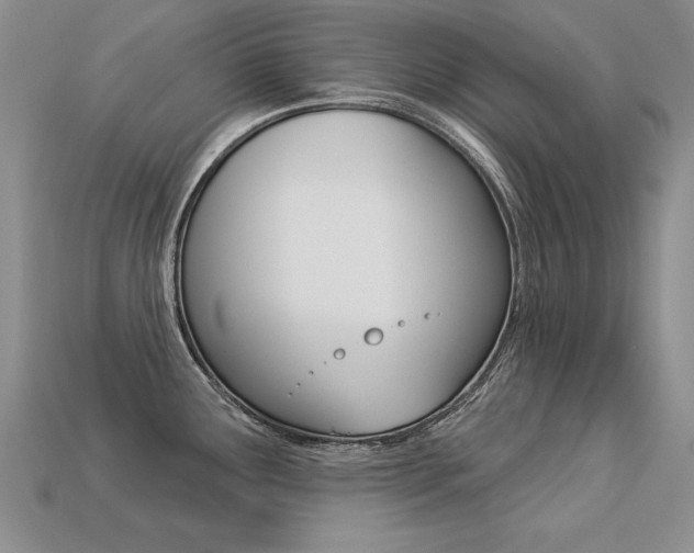 X0000113271291200909101303