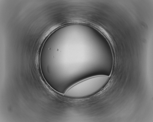 X0000113271293200909101303