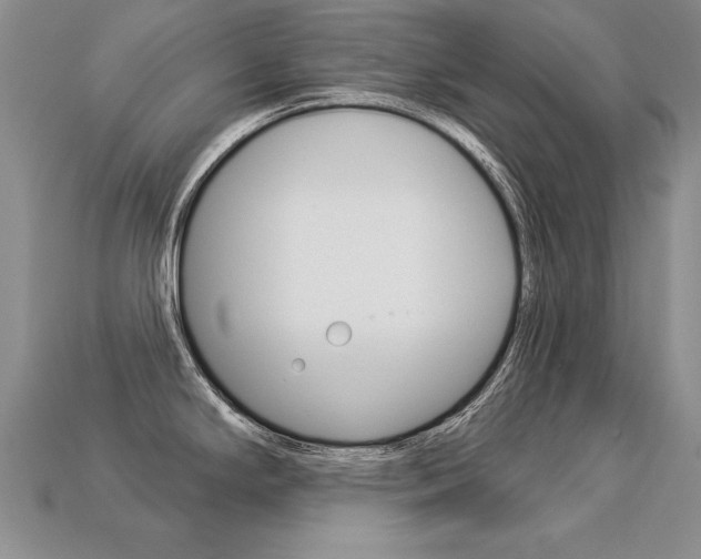 X0000113271294200909101303