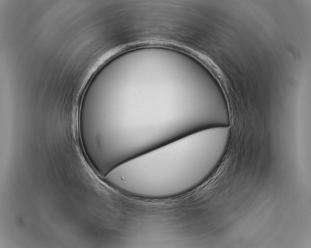 X0000113271295200909101303