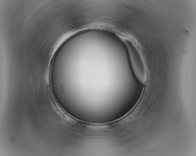 X0000113271296200909101303